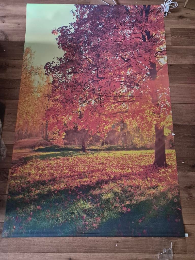 Rolgordijn 110x180, .., .., Bos, Nieuw
