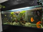 Groot vol glas aquarium 2.02 meter, Ophalen, Gebruikt, Leeg aquarium