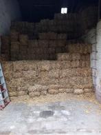 Kleine stro pakjes, Dieren en Toebehoren, Stalling en Weidegang, Stalling