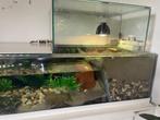 aquarium/terrarium schildpadden, Dieren en Toebehoren, Reptielen en Amfibieën | Toebehoren, Ophalen, Gebruikt, Terrarium of Paludarium