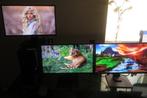 IIyama Prolite 24inch scherm, Ophalen, VGA, Gebruikt, Iiyama