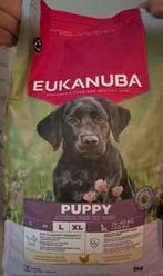 Eukanuba puppy brok L/XL, Dieren en Toebehoren, Ophalen, Hond