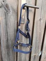 Blauw nylon veulen halster, Ophalen of Verzenden, Nieuw, Overige soorten