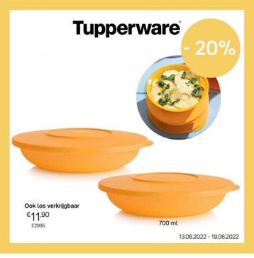 Tupperware Schaal (2) / Borden