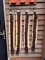 Kentucky bontsingels diverse maten, Dieren en Toebehoren, Ophalen, Zo goed als nieuw, Springen