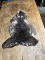 Mooie Schapenvacht / Leder Huid, Wit, Nieuw, Overige vormen, 50 tot 100 cm