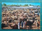 Marokko - Kamelenmarkt, Ophalen of Verzenden, 1960 tot 1980, Gelopen, Buiten Europa