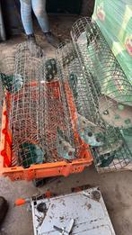 Fretteer kooi, Minder dan 60 cm, Kooi, Ophalen of Verzenden, Zo goed als nieuw