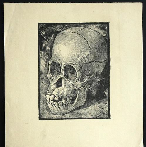 Mooie gave litho apenschedel A. Wirtz. Anto Wirtz, 1872 _ 19, Antiek en Kunst, Kunst | Litho's en Zeefdrukken, Ophalen of Verzenden