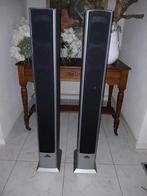 Luidsprekers, Audio, Tv en Foto, Luidsprekers, Ophalen, Gebruikt, Magnat, 120 watt of meer