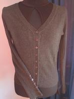 Sushan cardigan Kashmir L/XL, Ophalen of Verzenden, Zo goed als nieuw, Maat 46/48 (XL) of groter, Grijs