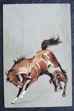 Reliefkaart Hond en paard spelen samen, 1905, Verzamelen, Ansichtkaarten | Dieren, Verzenden, Voor 1920, Gelopen, Hond of Kat