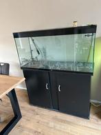 Aquarium 250 liter met pomp, Dieren en Toebehoren, Vissen | Aquaria en Toebehoren, Ophalen, Zo goed als nieuw, Leeg aquarium