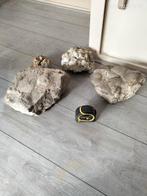 Versteende schelpen, Ophalen, Schelp(en)