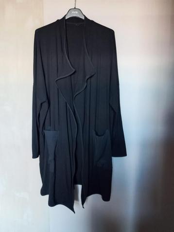 Plus Basics vest stretchstof maat 54 beschikbaar voor biedingen
