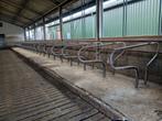 Boxen, Dieren en Toebehoren