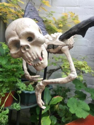 bizar beeld, vliegende skeletvampier beschikbaar voor biedingen