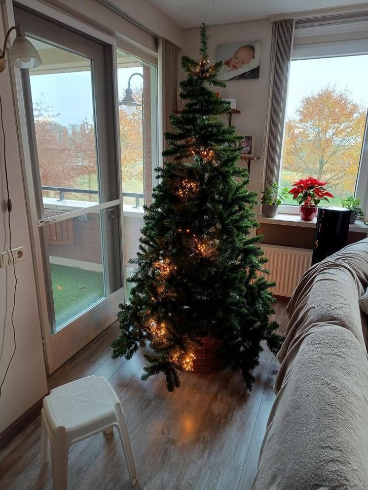 Kerstboom Triumph Tree model Tuscan Green 230 cm hoog, Diversen, Kerst, Zo goed als nieuw, Ophalen of Verzenden