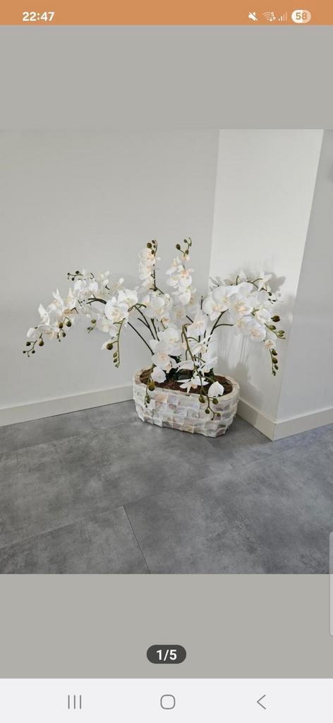 Mooie orginele schelpenvaas creme-beige, Huis en Inrichting, Woonaccessoires | Vazen, Zo goed als nieuw, Ophalen