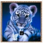 diamond painting full., Ophalen of Verzenden, Nieuw, Knutselwerk