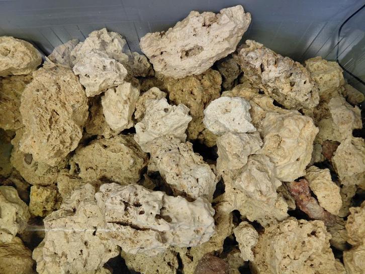 Levend steen voor jouw zoutwateraquarium, Dieren en Toebehoren, Vissen | Aquaria en Toebehoren, Nieuw, Plant(en), Steen of Hout