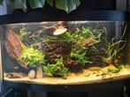 Juwel Vision 260 Aquarium 120cm met onderkast, Dieren en Toebehoren, Ophalen, Leeg aquarium