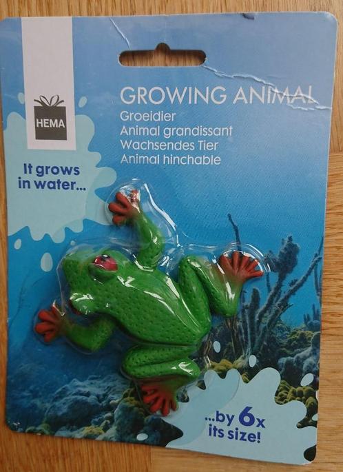 groeiende kikker (HEMA) - NIEUW, Kinderen en Baby's, Speelgoed | Educatief en Creatief, Nieuw, Knutselen, Ontdekken, Ophalen