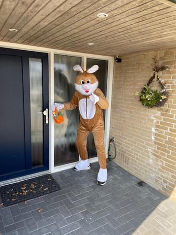 Pasen nog snel een paashaas kostuum pak huren? Bruin of roze beschikbaar voor biedingen