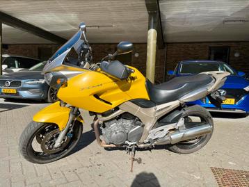 Yamaha TDM 900  beschikbaar voor biedingen
