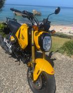 Honda MSX 125, Motoren, Motoren | Honda, Toermotor, Particulier, 125 cc, 1 cilinder