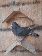 Duiven, Dieren en Toebehoren, Meerdere dieren, Postduif