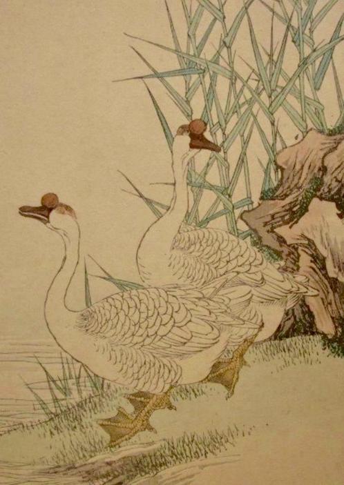 Japanse houtsnede Imao Keinen Knobbelganzen, Antiek en Kunst, Kunst | Etsen en Gravures, Ophalen of Verzenden
