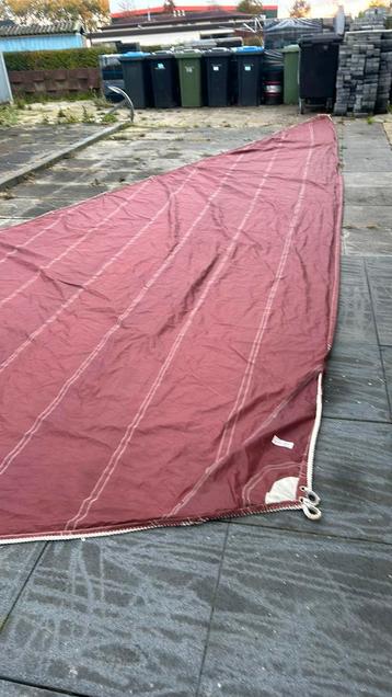 Nieuwe bruine fok beschikbaar voor biedingen