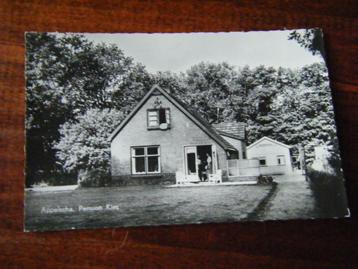 U35 - Appelscha - Pension Kies - Mooi/Oud beschikbaar voor biedingen