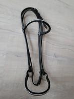 Voorbreng halster maat pony, Ophalen of Verzenden, Zo goed als nieuw, Overige soorten