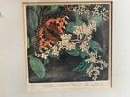 Litho David Koster1926-2015 Tortoiseshell ont Privet 1/50, Antiek en Kunst, Ophalen of Verzenden
