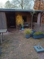 Kerst versiering, Tuin en Terras, Overkappingen, Ophalen of Verzenden