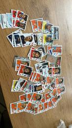 Panini 2006  66 plaatjes, Ophalen of Verzenden, Zo goed als nieuw, Buitenlandse clubs, Poster, Plaatje of Sticker