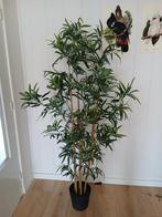 Kunstplant bamboe, Huis en Inrichting, Woonaccessoires | Kunstplanten en Kunstbloemen, Ophalen, Zo goed als nieuw
