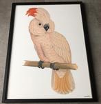 ROZE PAPEGAAI - IN LIJST - 30 X 40 CM, Minder dan 50 cm, Ophalen of Verzenden, Zo goed als nieuw, Schilderij