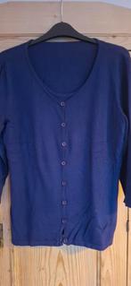 Lien en Giel paars vest/trui, Kleding | Dames, Truien en Vesten, Lien en Giel, Ophalen of Verzenden, Zo goed als nieuw, Paars