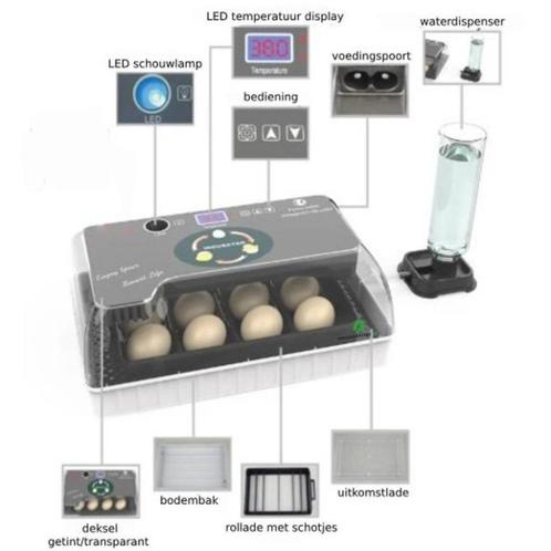 Broedmachine, 12 ei- met gratis broedeieren, morgen in huis, Dieren en Toebehoren, Pluimvee | Toebehoren, Nieuw, Broedmachine