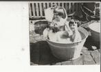 Wasdag Drie zusjes in de zinken wasteil  Foto, Verzenden, Ongelopen, Zuid-Holland
