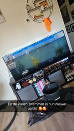 Aquarium, Ophalen, Gebruikt