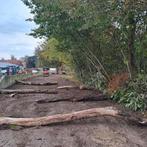 Kleinschalige Paddock Paradise Volpension, Dieren en Toebehoren, Stalling en Weidegang, Weidegang, 4 paarden of pony's of meer