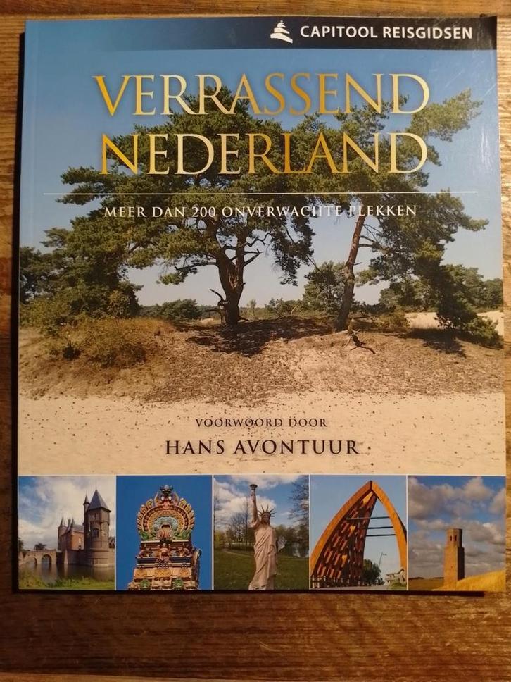 Verrassend Nederland, Boeken, Reisgidsen, Zo goed als nieuw, Fiets- of Wandelgids, Europa, Overige merken, Ophalen of Verzenden