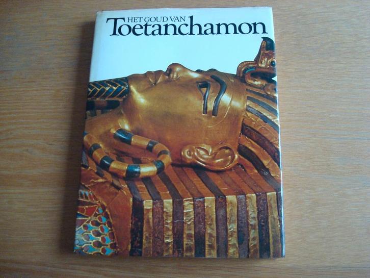Boek Het goud van Toetanchamon Egypte, Boeken, Geschiedenis | Wereld, Zo goed als nieuw, Afrika, 14e eeuw of eerder, Ophalen of Verzenden