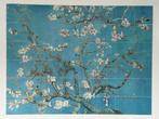 IXXI Amandelbloesem van Van Gogh, 160 x 120 cm, Ophalen of Verzenden