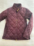 Ps of sweden bordeaux vest, Dressuur, Ophalen of Verzenden, Zo goed als nieuw, Dames