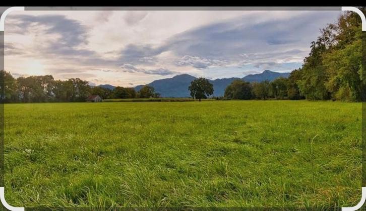 Weiland gezocht, Dieren en Toebehoren, Stalling en Weidegang, Weidegang, 2 of 3 paarden of pony's